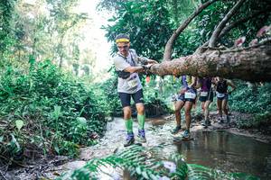 BIB: 
                            <button type="button" onclick="openModal(25441142)" class="btn btn-primary btn-sm float-right btn-popup" data-toggle="modal" data-target=".modal-high-quality">
                        <i class="fas fa-shopping-cart"></i> Add to Cart
                    </button>
                                            <button type="button" onclick="isThisMe(25441142, true)" class="btn btn-success btn-sm float-right btn-popup btn-isme hidden" data-toggle="tooltip" data-placement="bottom" title="นี่คือรูปของคุณใช่ไหม คลิกที่นี่เพื่อเอาเข้าอัลบั้ม">
                        <i class="fas fa-plus"></i> Add to album
                    </button>
                    <button type="button" onclick="isThisMe(25441142, false)" class="btn btn-warning btn-sm float-right btn-popup btn-isnotme hidden">
                        <i class="fas fa-ban"></i> Remove from album
                    </button>